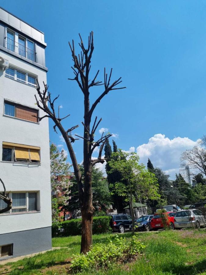 Atelje Apartment Podgorica Luaran gambar