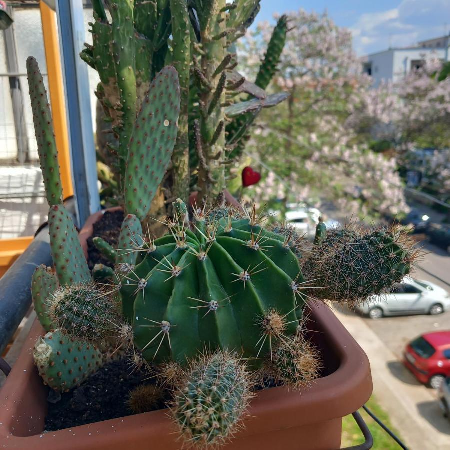 Atelje Apartment Podgorica Luaran gambar